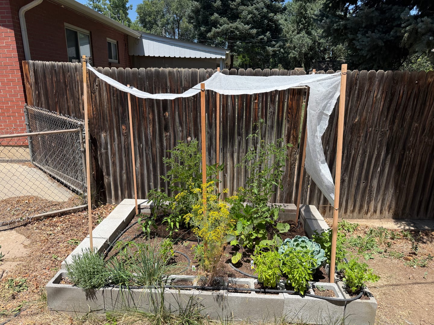 Customer photo review of 40% Shade Cloth