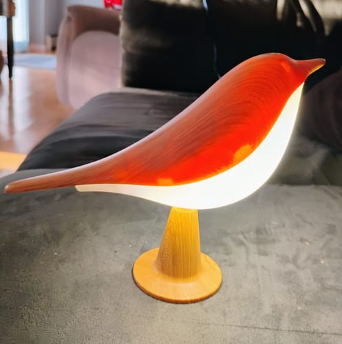Customer photo review of Glow Bird