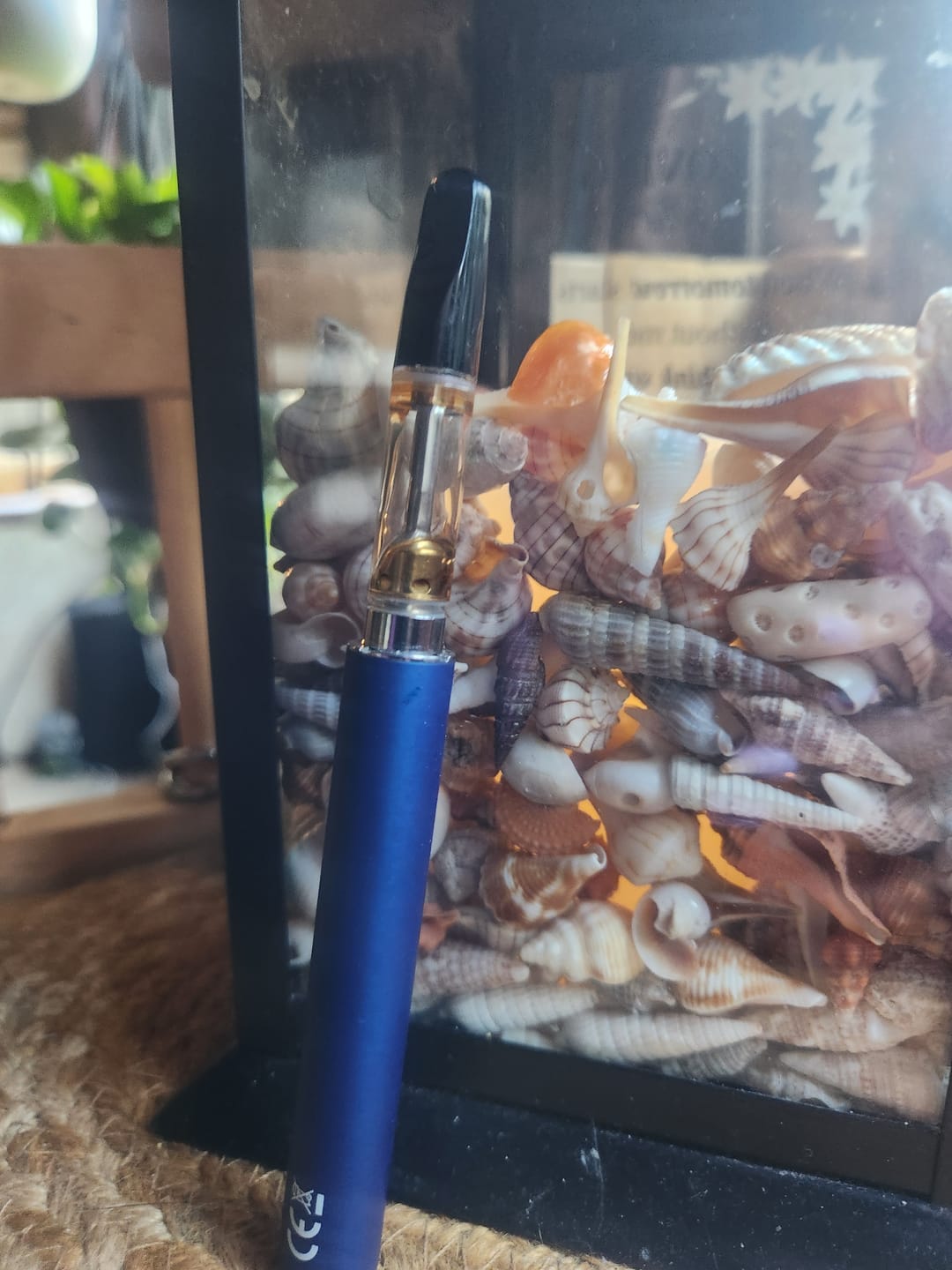 Customer photo review of 1 Gram THC-P Blend Vape Cartridge | Durban Gelato - Hybrid
