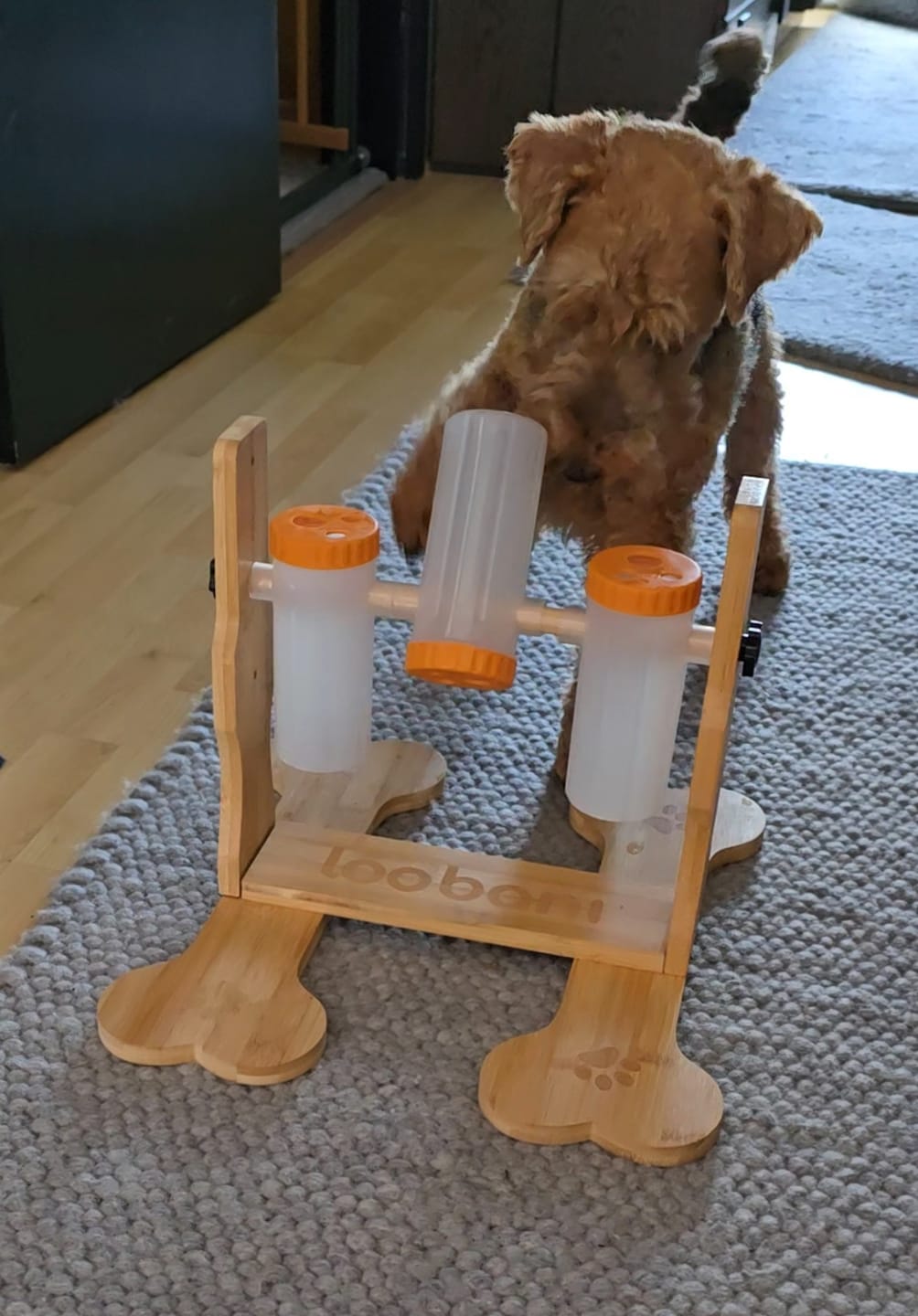 Customer photo review of Snacklab Leckerli-Spender – Intelligenzspiel für Hunde