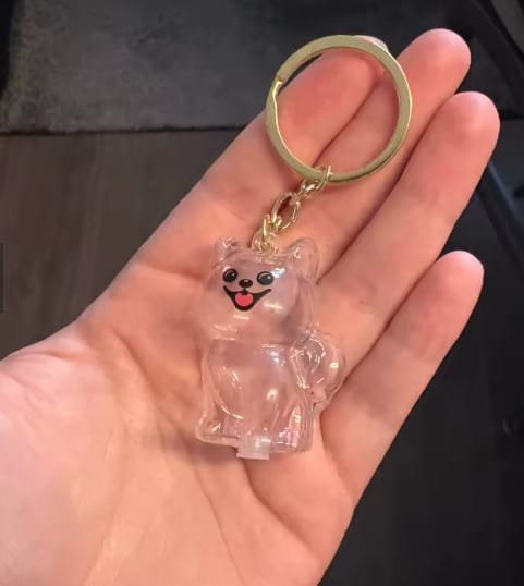 Customer photo review of Llavero Recuerdo de tu Mascota
