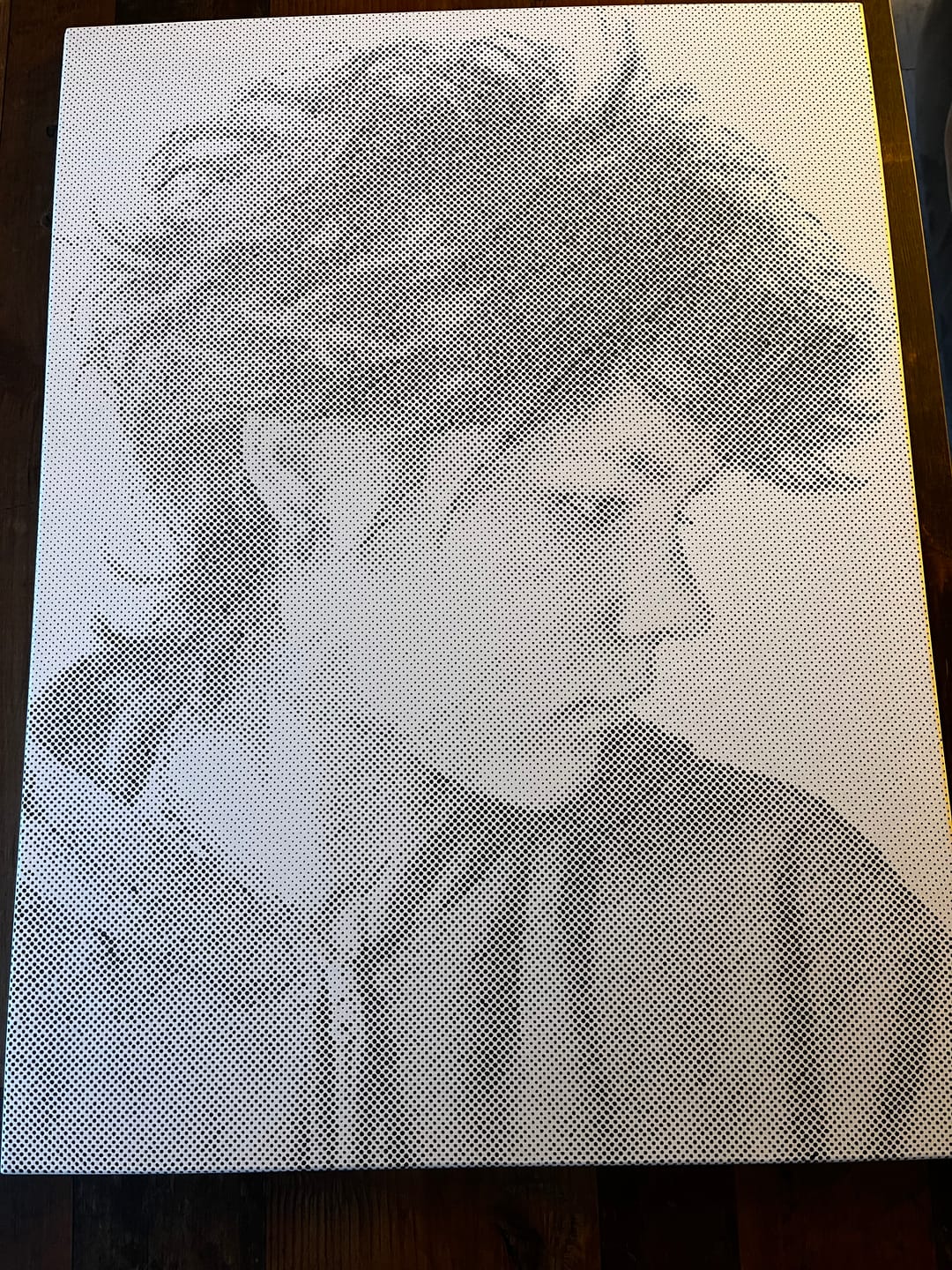 Customer photo review of Custom Photo Dot Painting Kit
