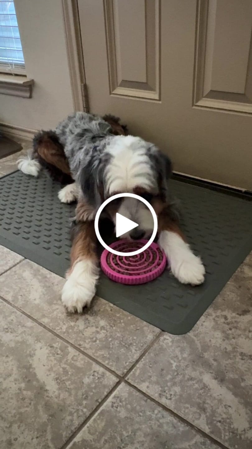 Customer video review of FreezSwirl - Durable Stimulation Toy