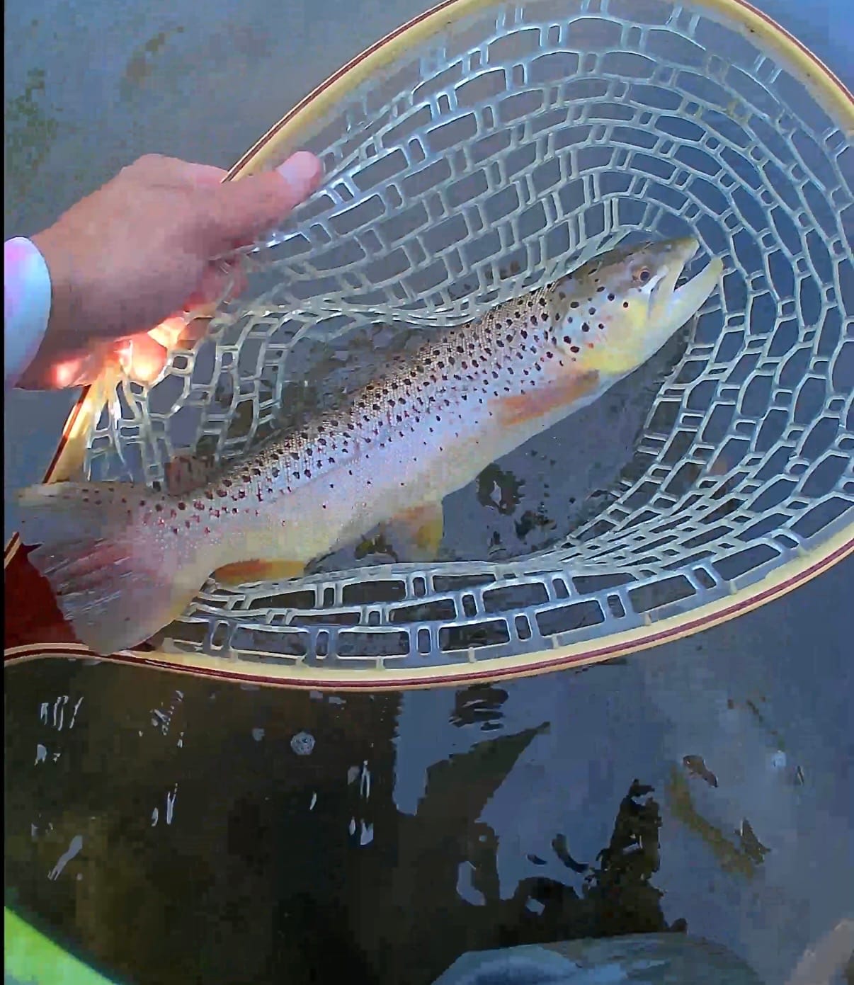 Customer photo review of Redington Field Kit Euro