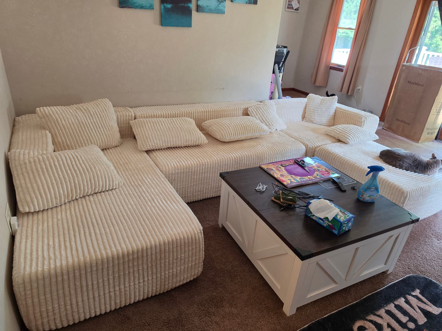 Customer photo review of U Shape Beige Modular Cloud Sectional Sofa 🛋️📦 | 🚚 Ships in 3–7 days
🔥 Limited stock