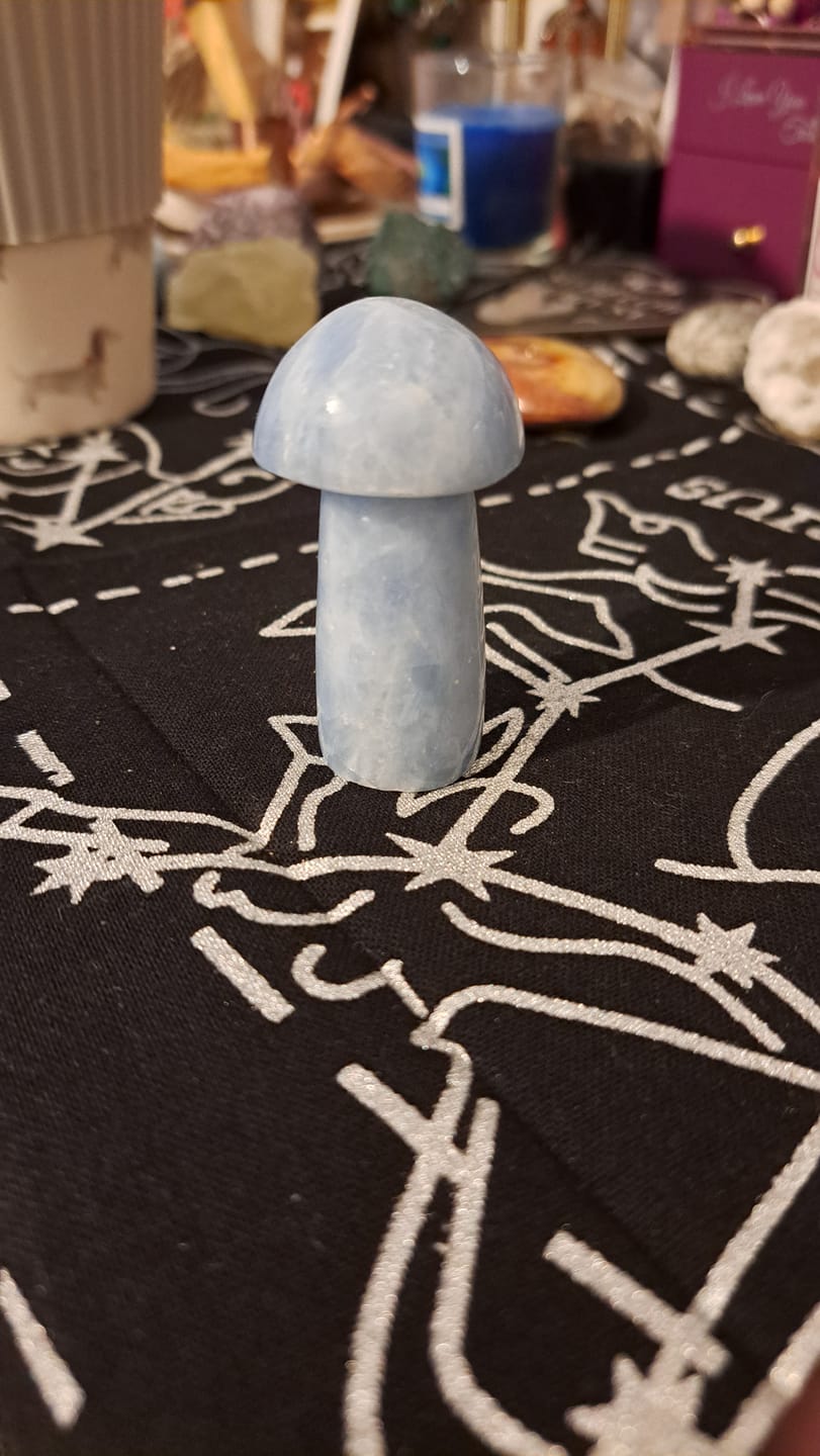 Customer photo review of Crystal Add-On