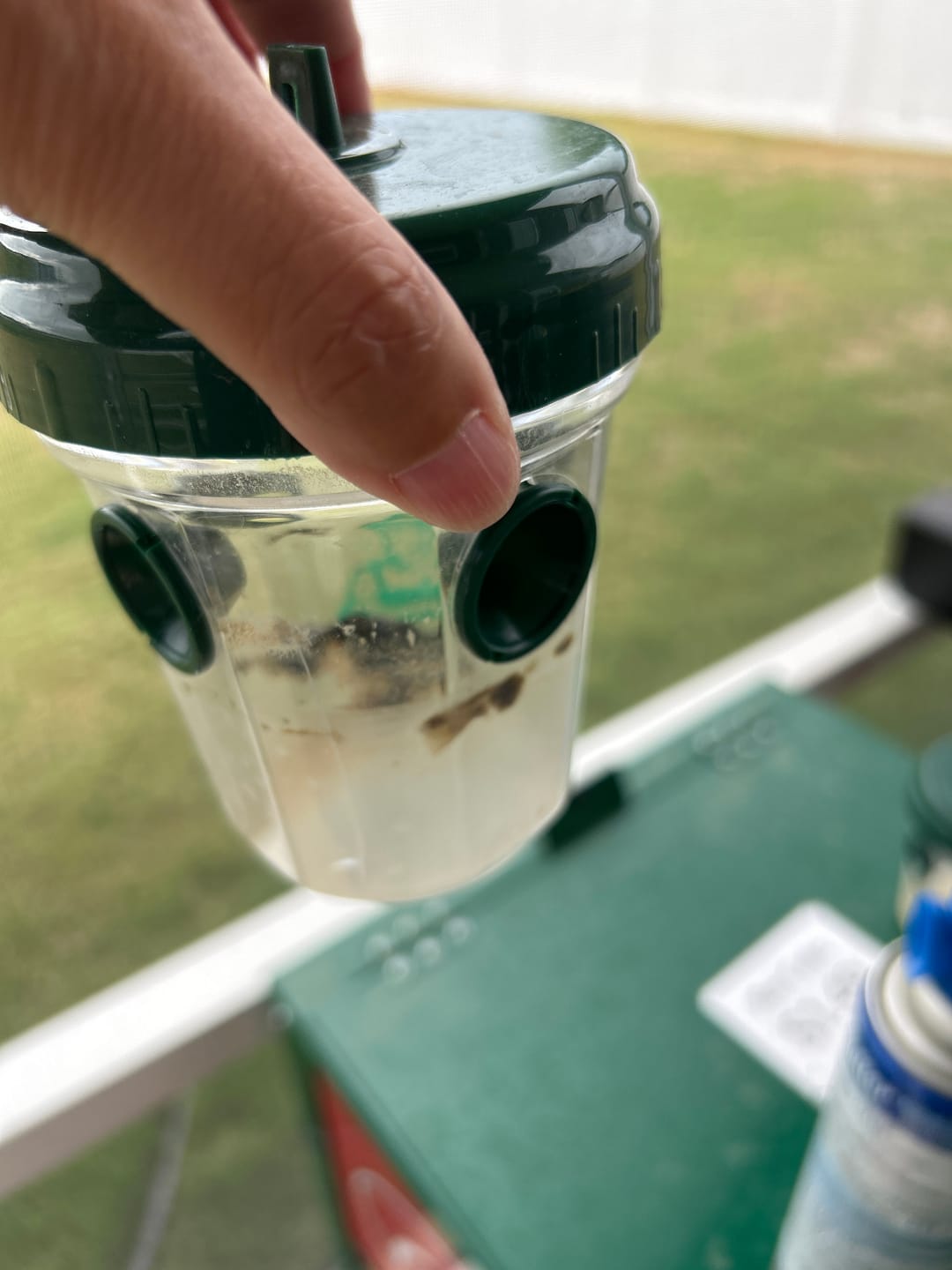 Customer photo review of Mosquito TNT 2.0