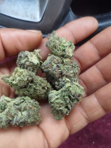 Customer photo review of Hyper Za THCA Flower
