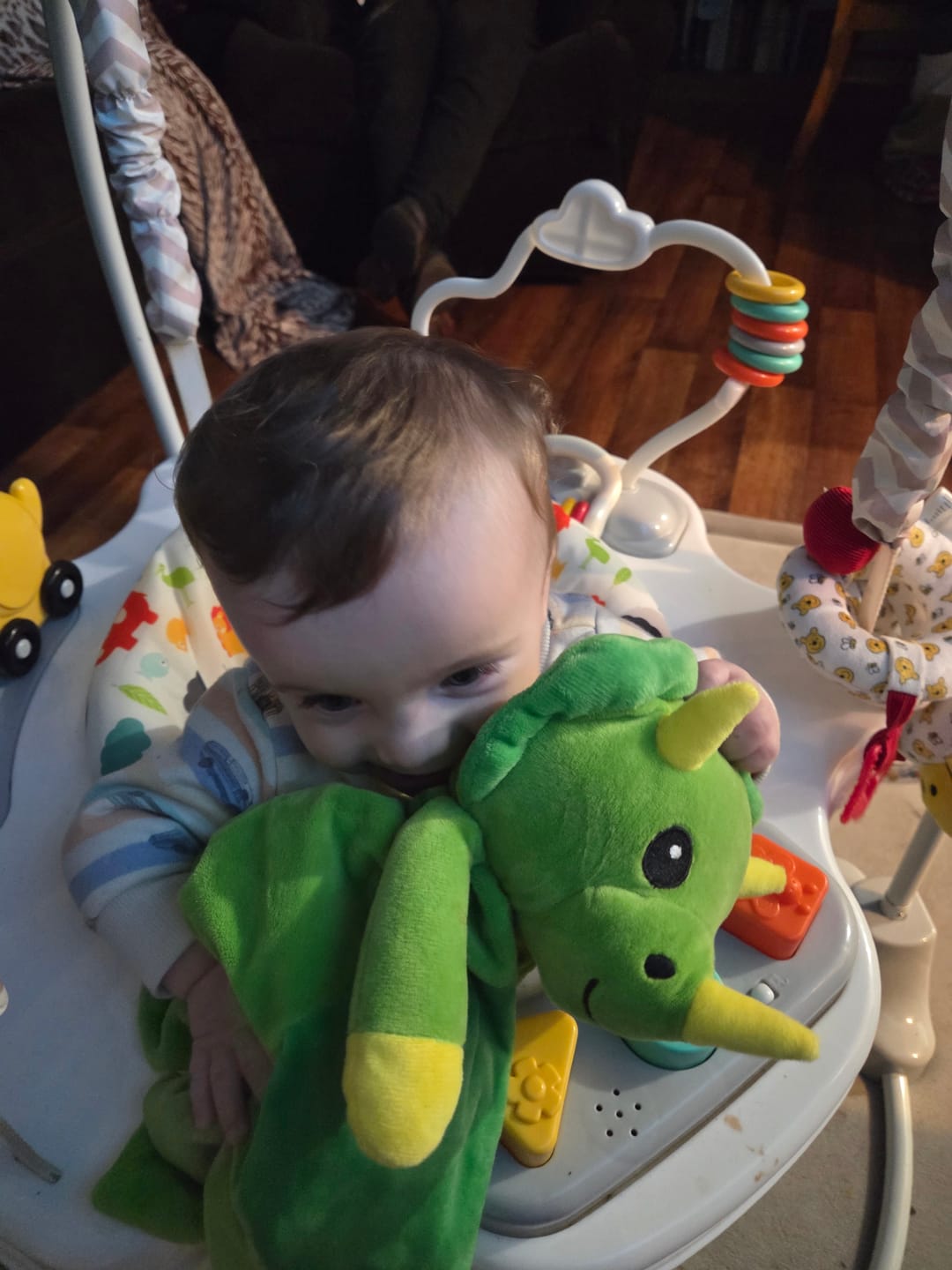 Customer photo review of Dash the Dinosaur