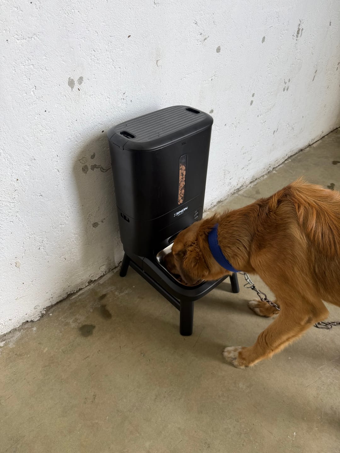 Customer photo review of Köpek Mama Kabı | Akıllı, 15L, Mobil Kontrol, Büyük Taneli Mama Uyumlu, Yükseklik Ayarlı (X8630)