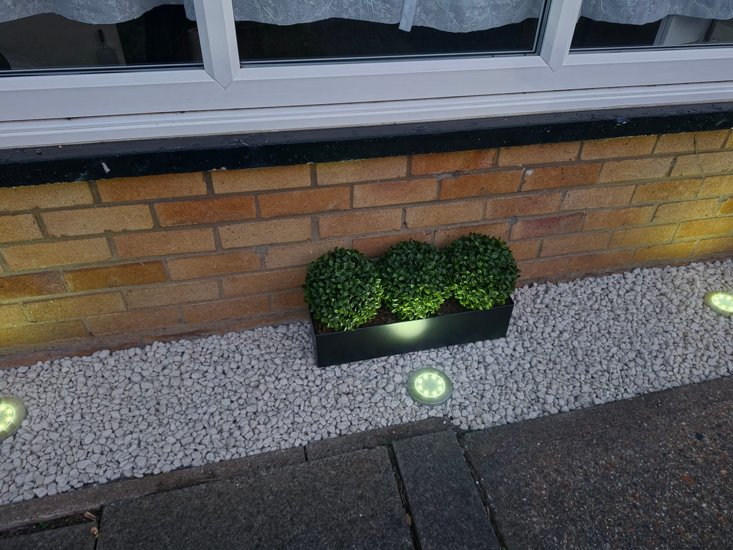 Customer photo review of Topiary Triple Ball Aglaia Boxwood in Black Straight Tin Window Box 54cm/21in - A1067