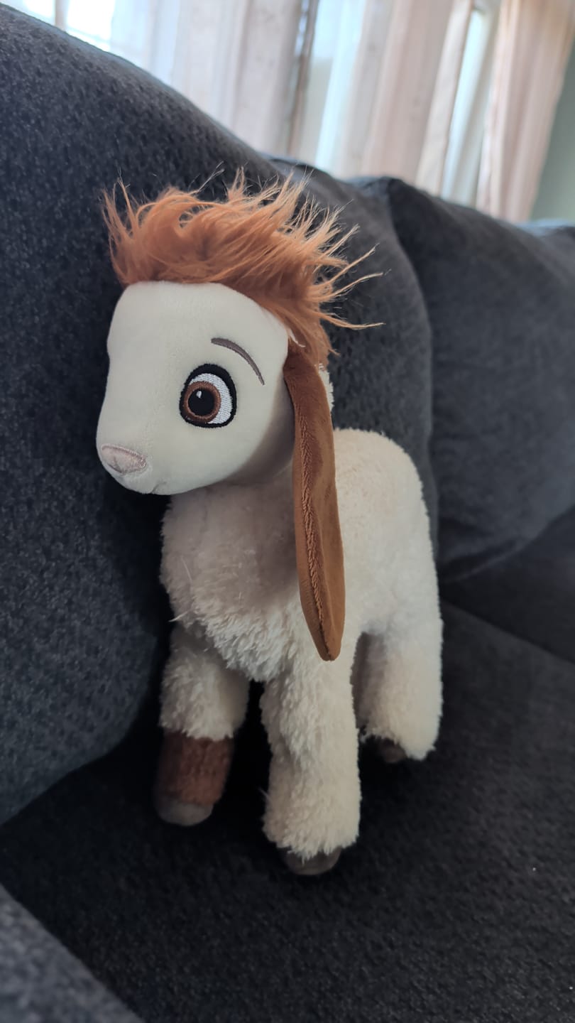 Customer photo review of Tali Plushie
