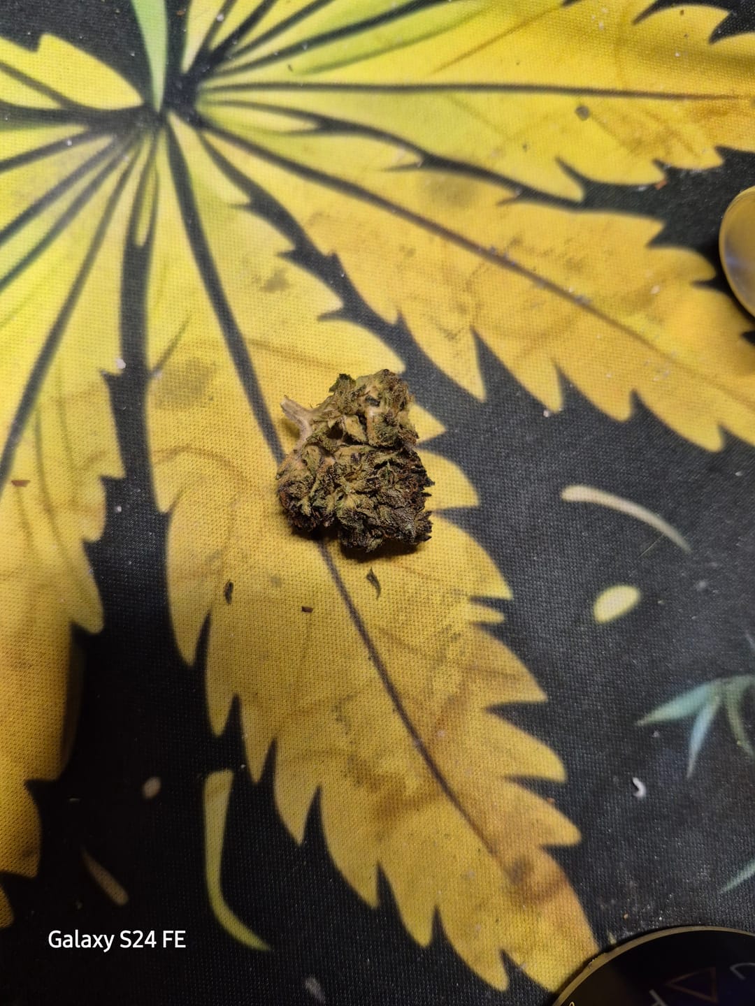 Customer photo review of White Widow - 28 Grams - Hybrid