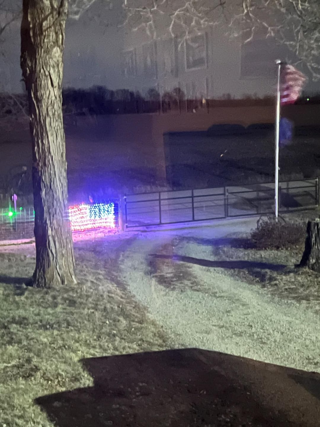 Customer photo review of Custom Solar-Powered National Flag Net Lights - Commemorative and Fun Outdoor Decorations