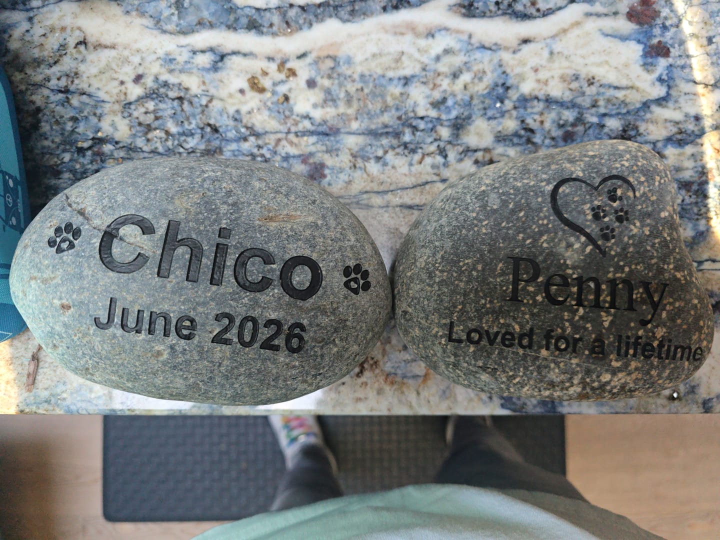 Customer photo review of Pet Grave Marker   Custom Engraved Pet Memorial Stone Paw Prints