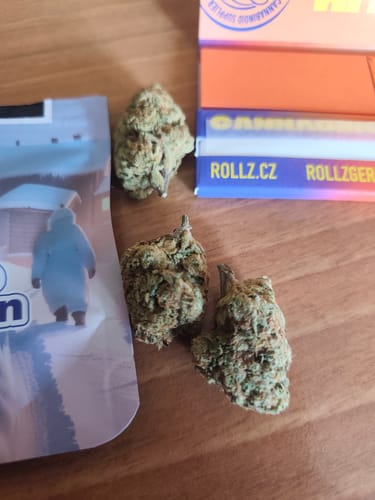 Customer's three dense White Russian THCA Flower buds on a wooden table next to the product packaging.