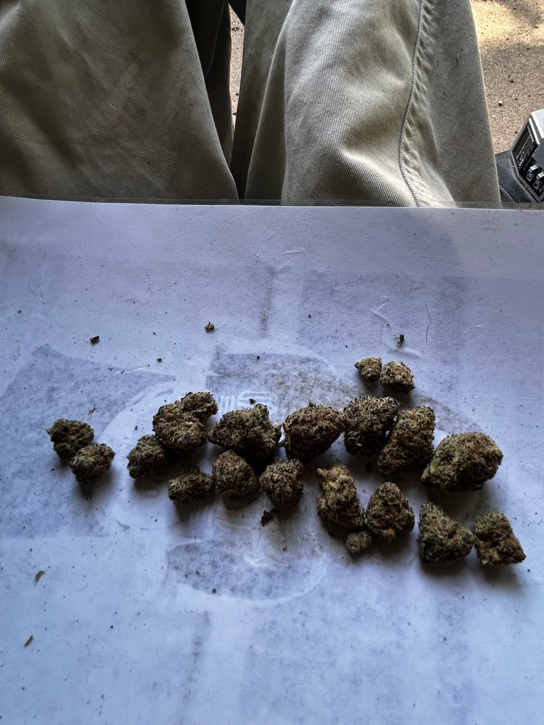 Customer photo review of Skunk