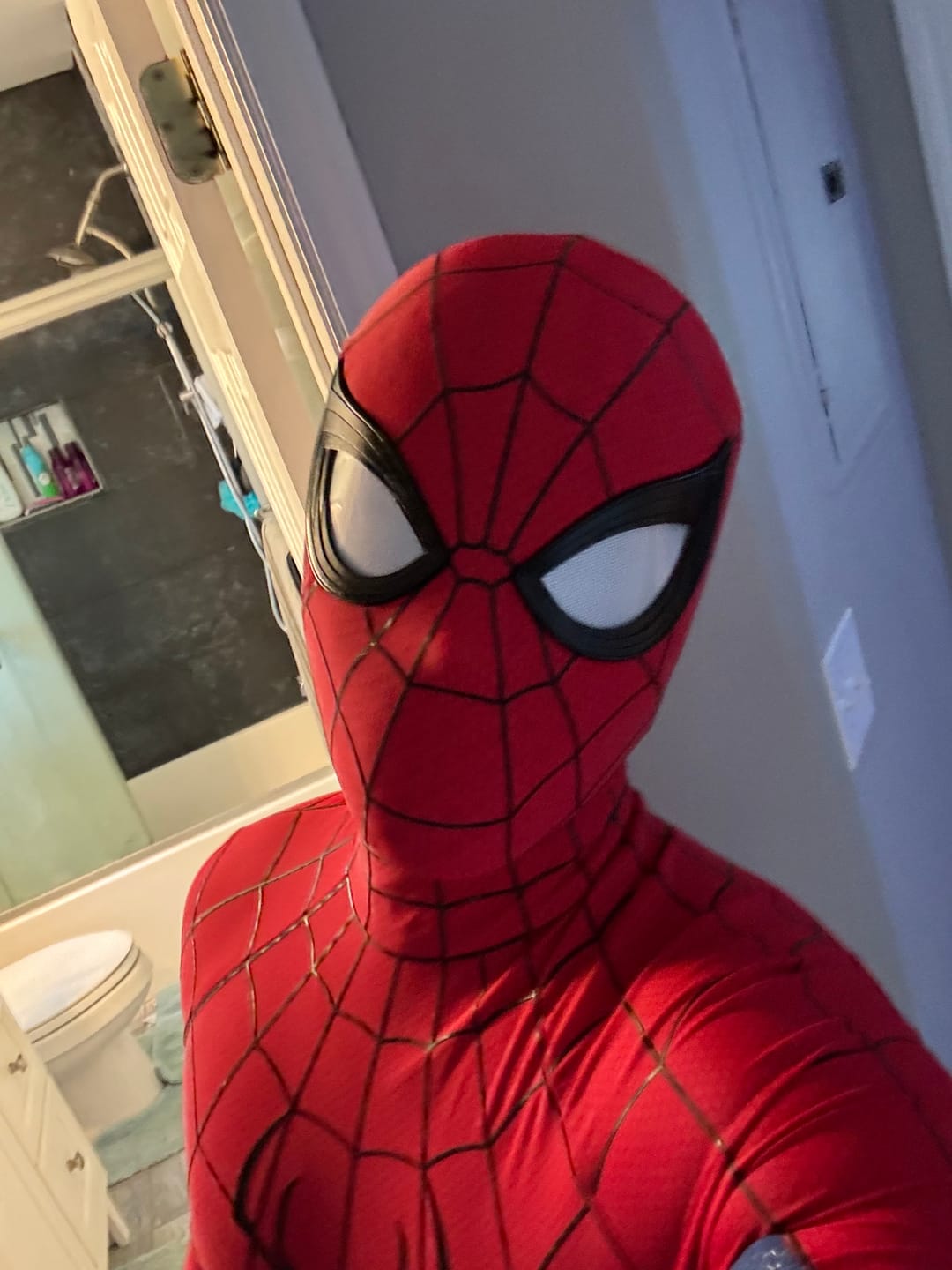 Customer photo review of Spider-Man: Brand New Day (2026) Costume (ScreenPrint) (Cosplay Grade)