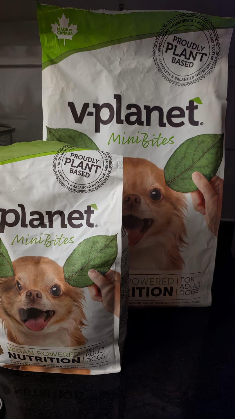 Customer photo review of V - Planet Vegan Dog Food - For Mini and Small Breeds , 2.04Kg