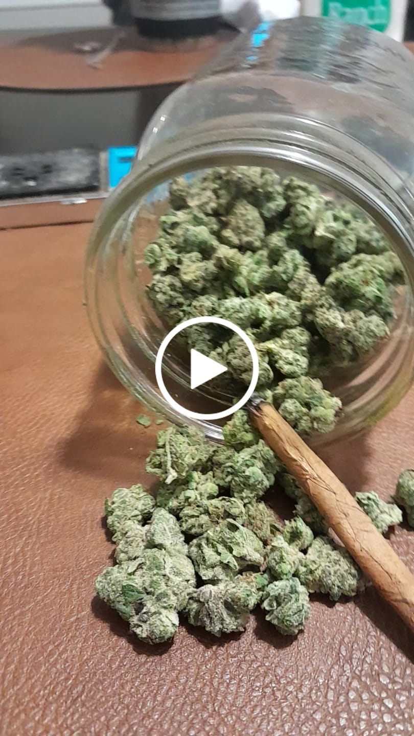 Customer video review of Cereal Milk THCA Flower (Premium)