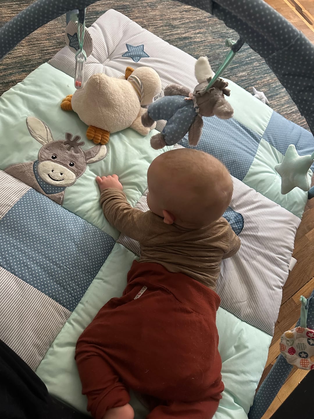 Customer photo review of Sommermerino Baby Longsleeve