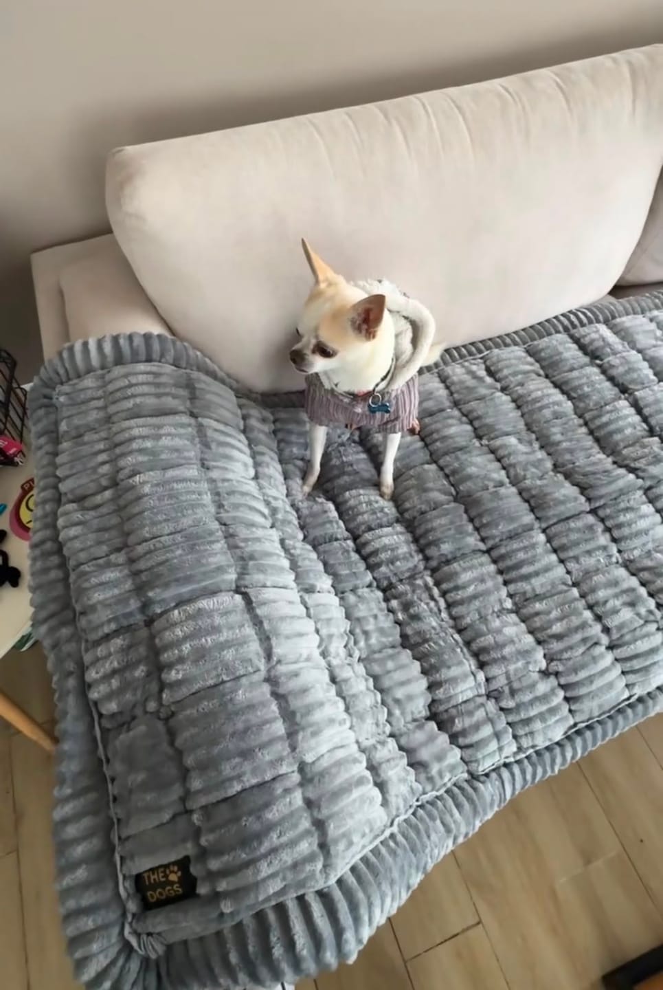 Customer photo review of Majestuoso · Protector Premium para Sofá