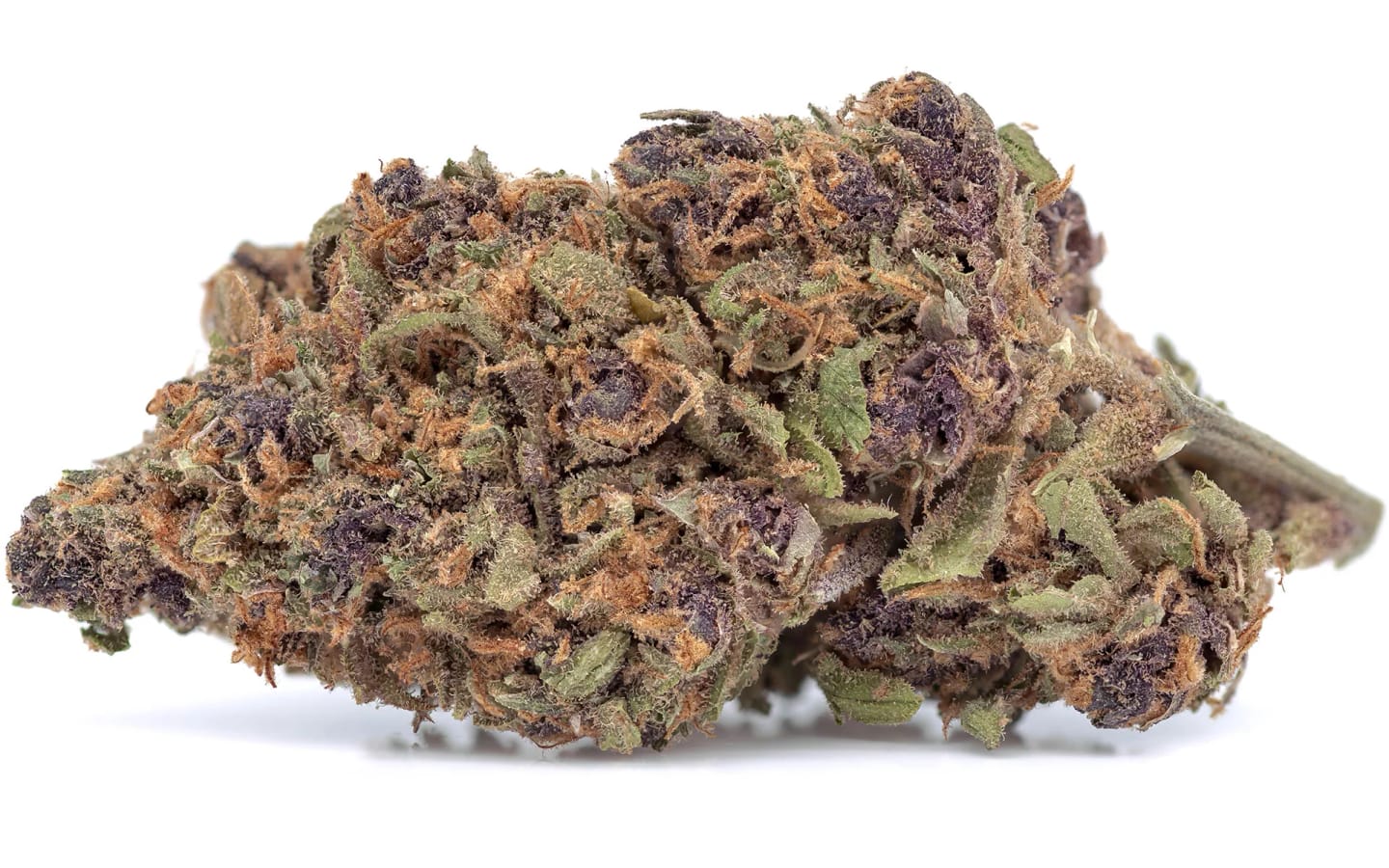 Customer photo review of Granddaddy Purple - Minis - 14 Grams - Indica