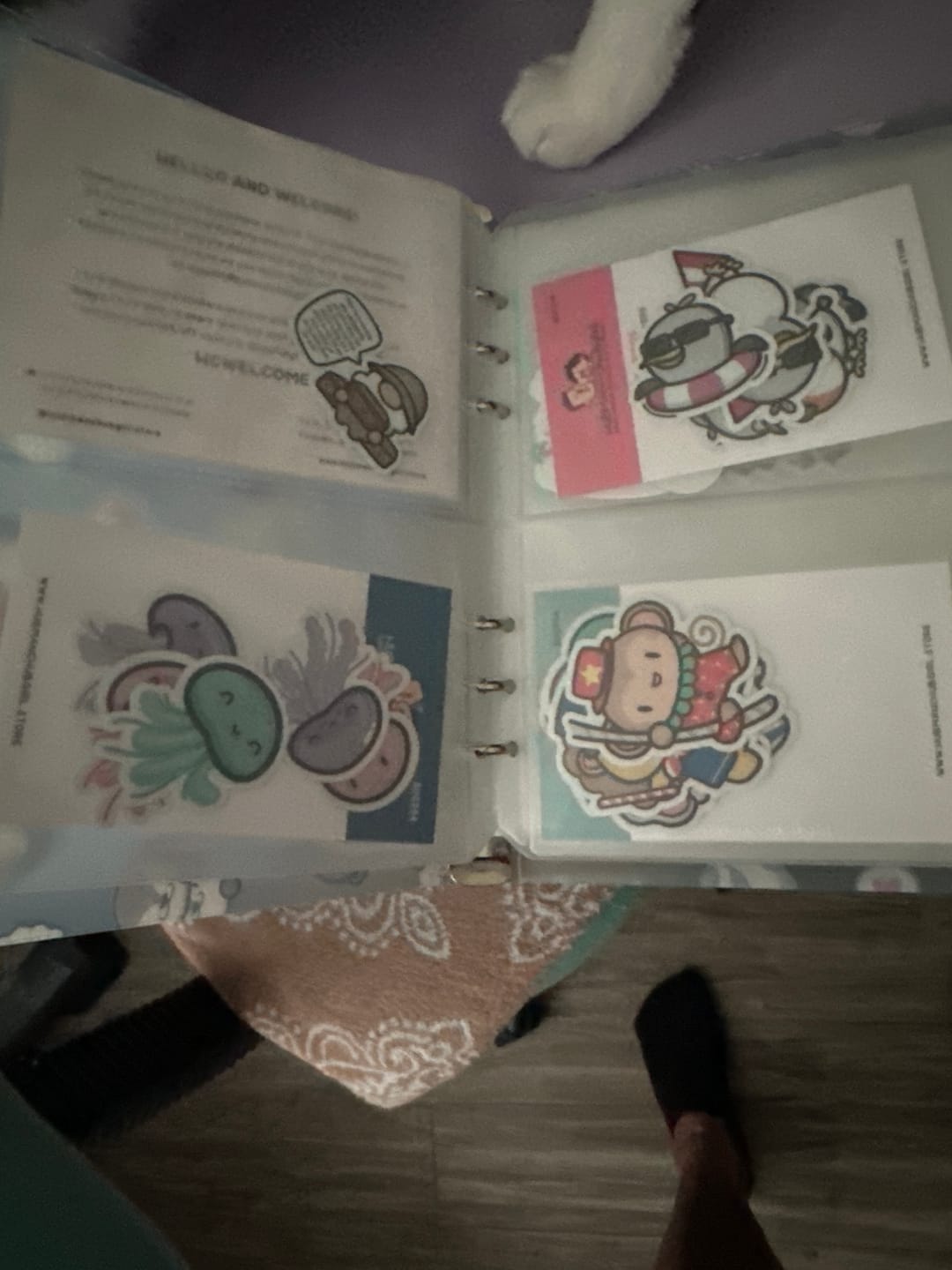 Customer photo review of Sticker Storage Binder - My Otter Half (S Size)