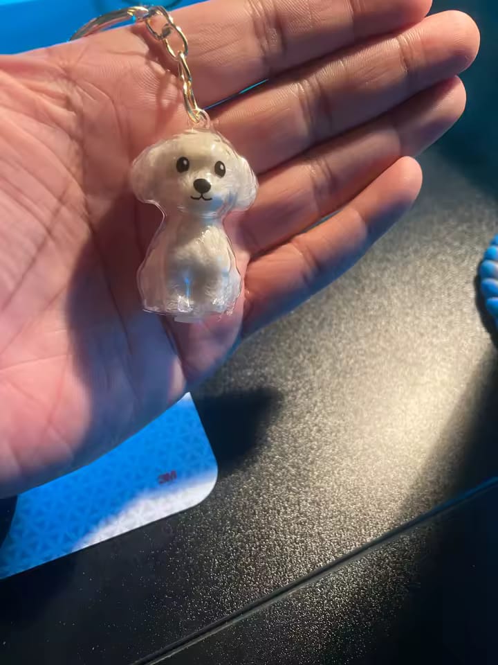 Customer photo review of Llavero Recuerdo de tu Mascota