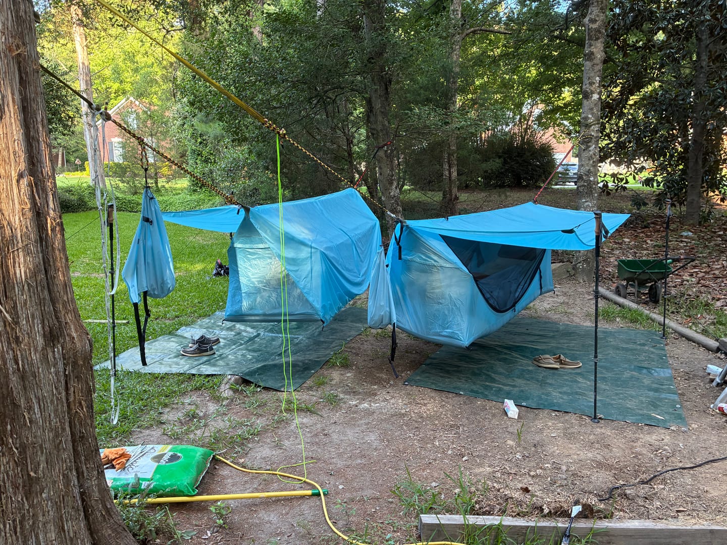 Customer photo review of Haven XL