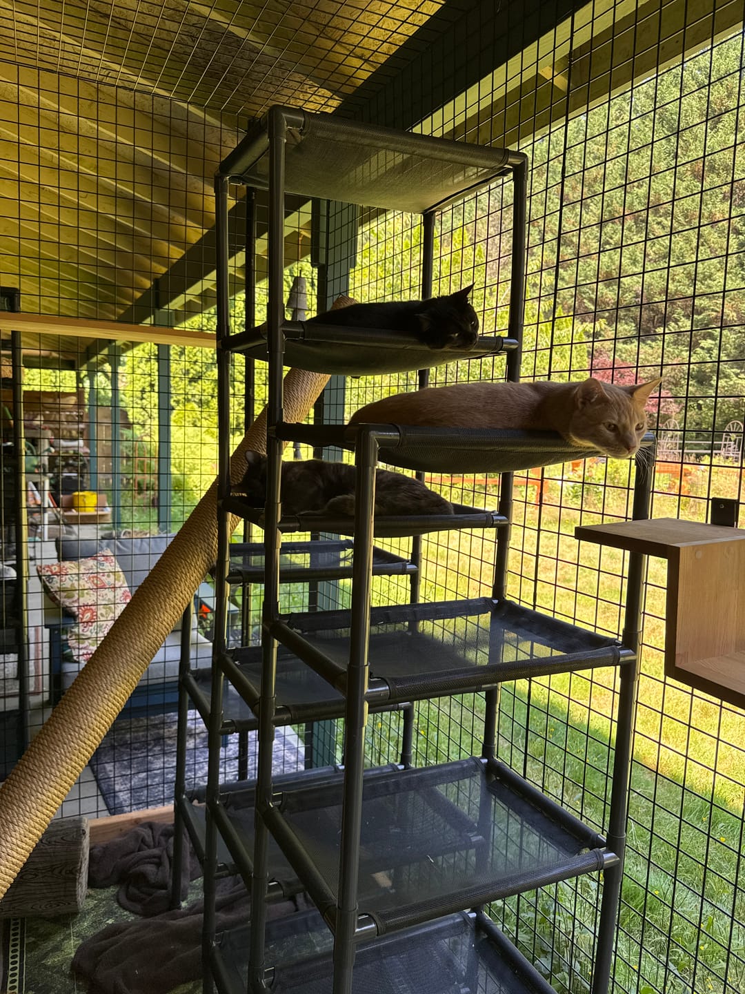 Customer photo review of Durable Cat Tower - SkyRise