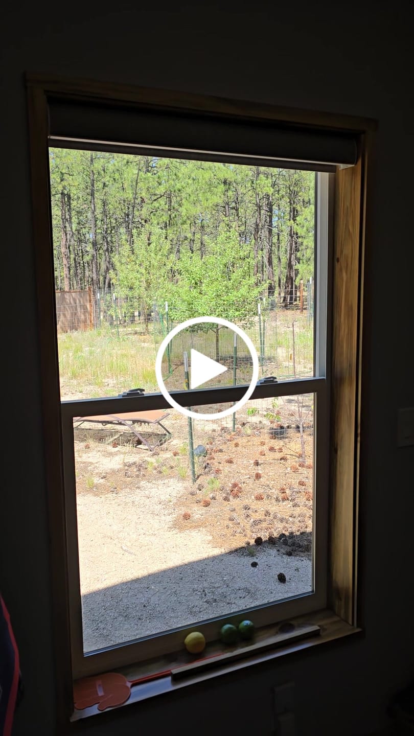 Customer video review of SmartWings Motorized Roller Shades 100% Blackout Vigor