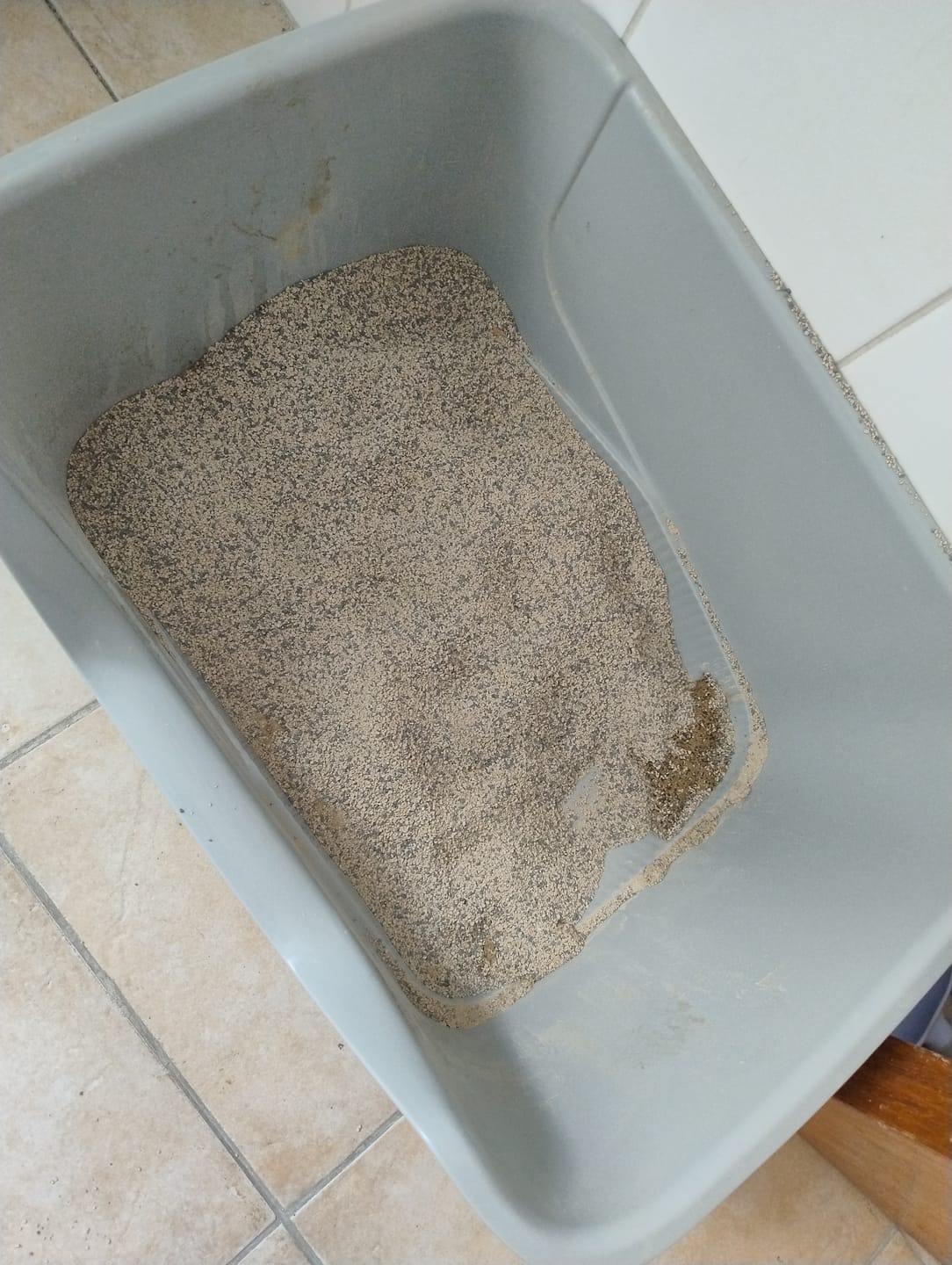 Customer photo review of Arena Minino 24kg - Carbón Activo