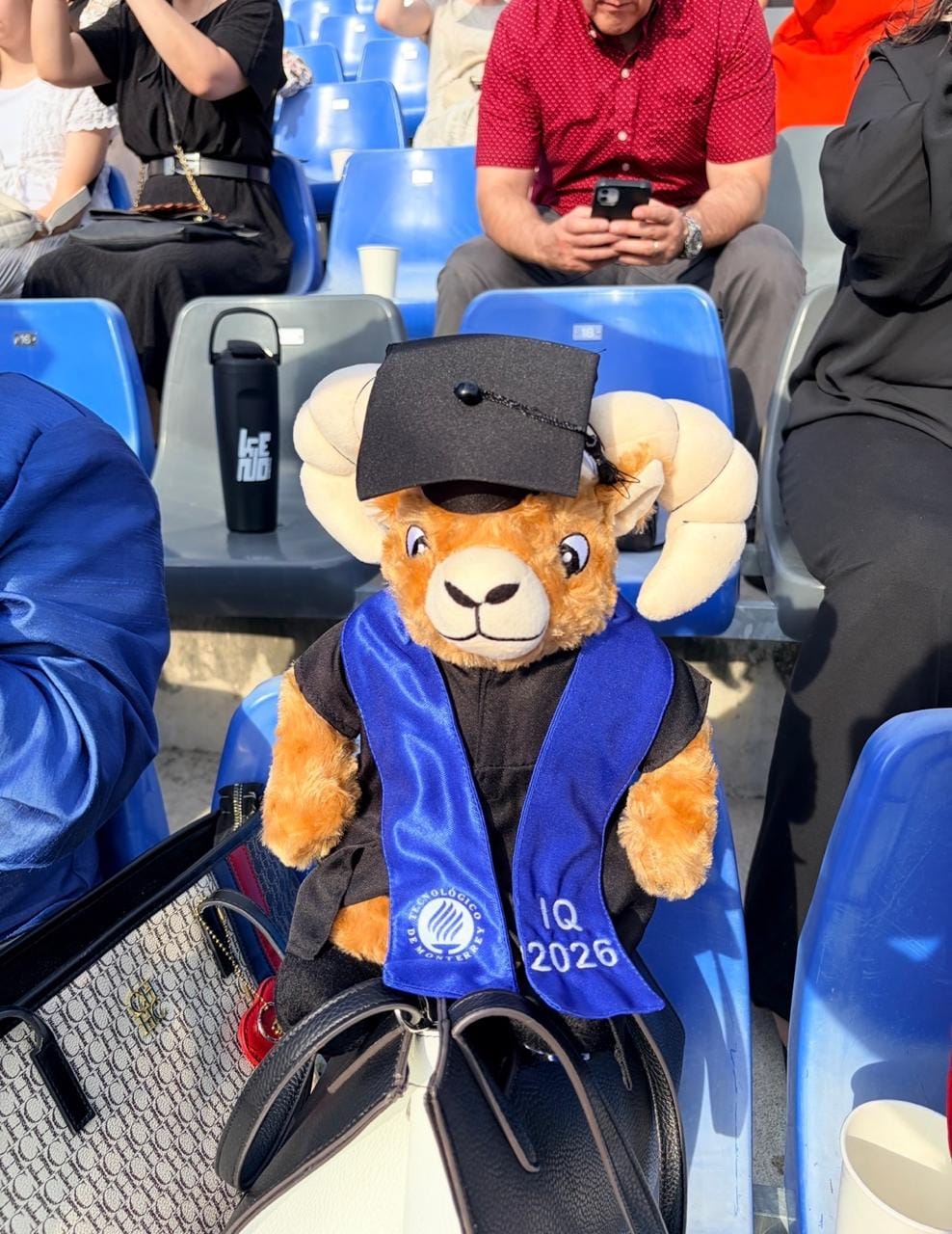 Customer photo review of TEUS Graduado