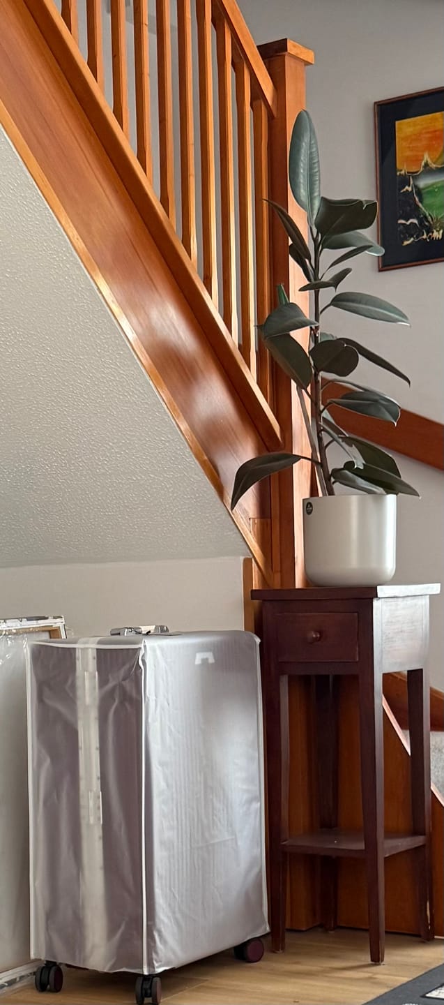 Customer photo review of Luggage Cover