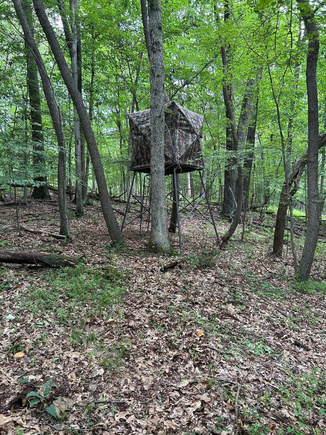 Customer photo review of FLASH SALE VisX/VisMax 270 Degree Ground Blind | See-Through Duck Blind & Portable Pop-Up Deer Blind | Camouflage Hunting Blinds & Best Budget Ground Options