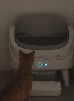 Customer photo review of Petbuds™ Open One App Monitoring Self-Cleaning Litter Box with Open Design