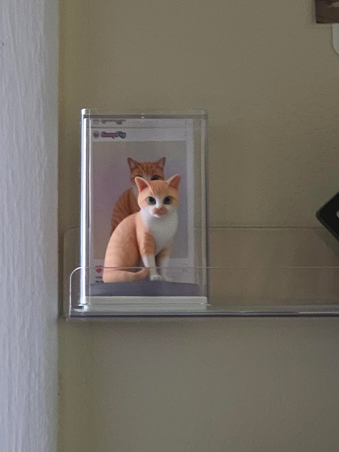 Customer photo review of Custom 3D Pet Figurine - From Your Photo