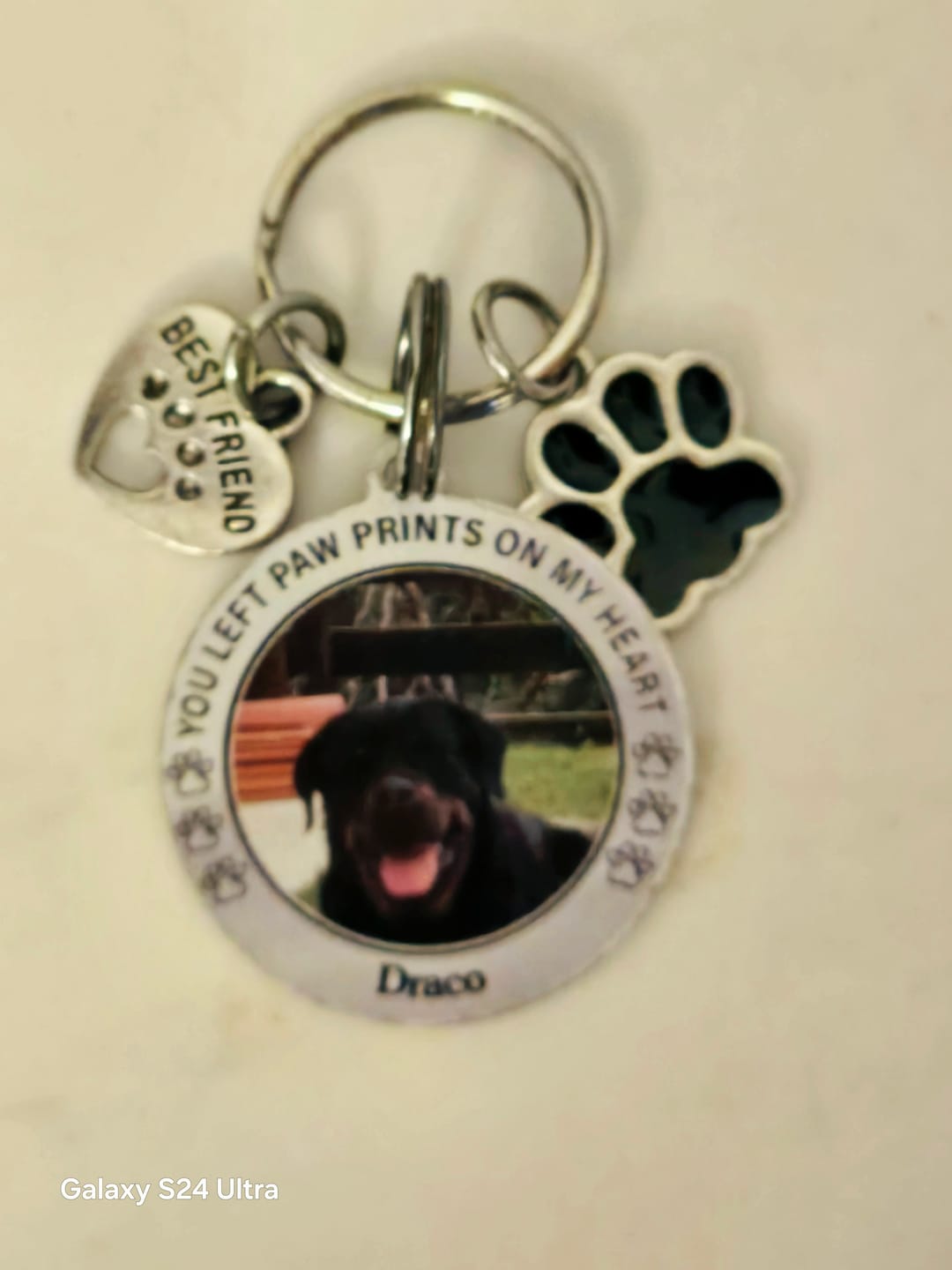 Customer photo review of Custom Personalized Photo Keychain Pet Charm Key Ornaments - Memorial Gift for Dog/Cat Lovers - You left paw prints on my heart