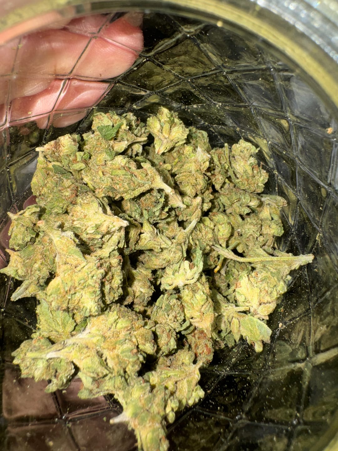 Customer photo review of Raspberry Kush - 14 Grams - Indica