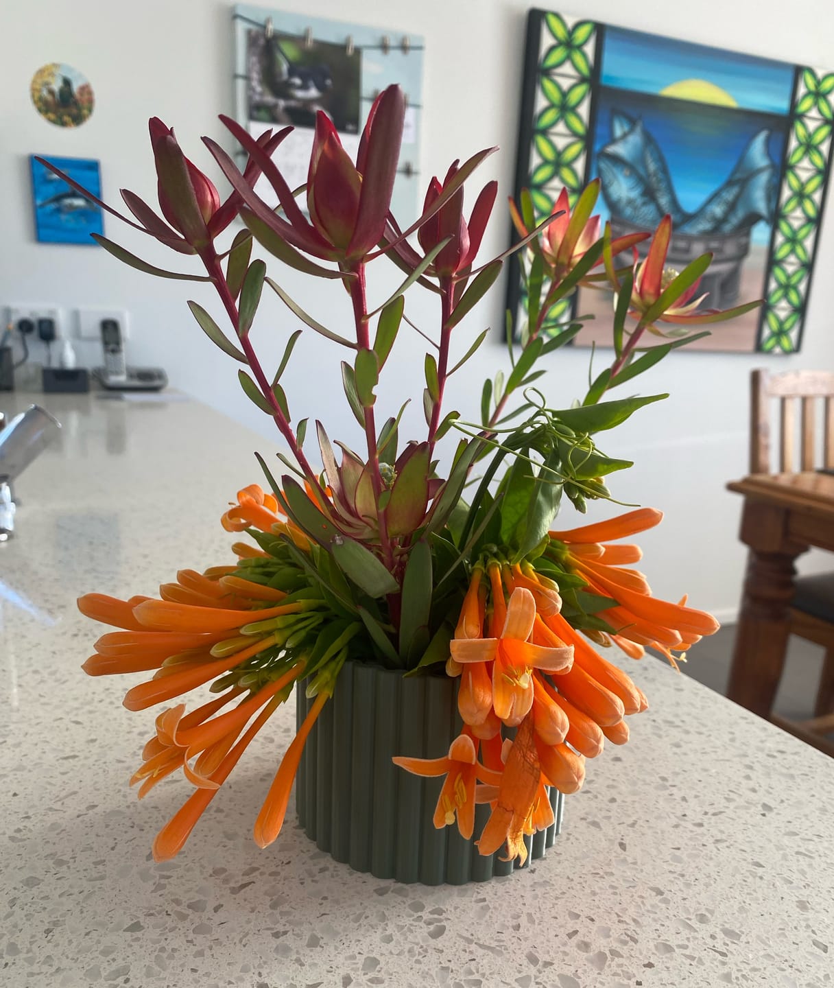 Customer photo review of Mini Poppy