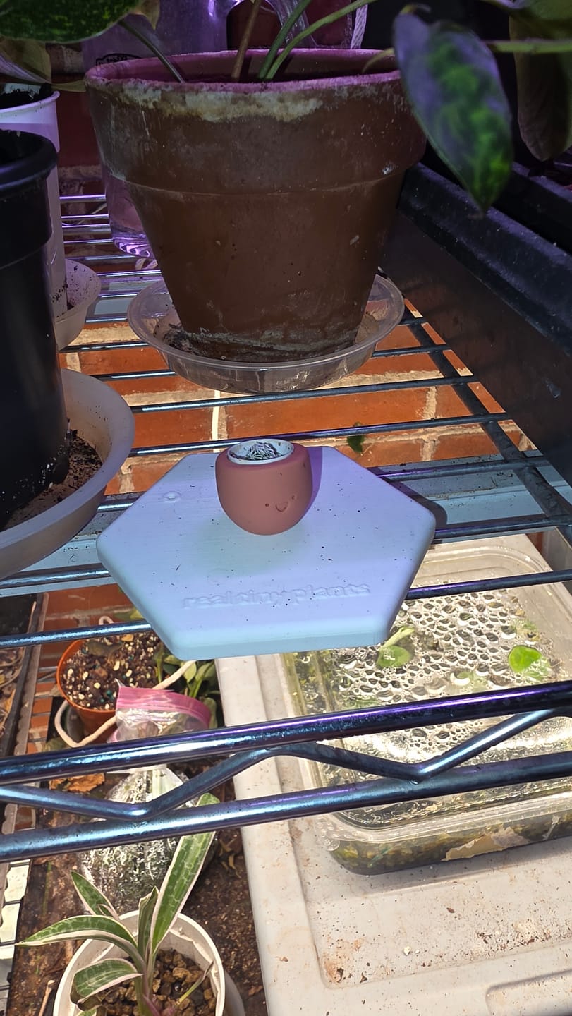 Customer photo review of Mystery Pool