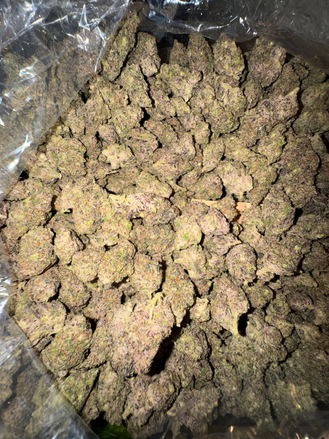 Customer photo review of Garlic Cookies Indoor - Bulk - Hybrid