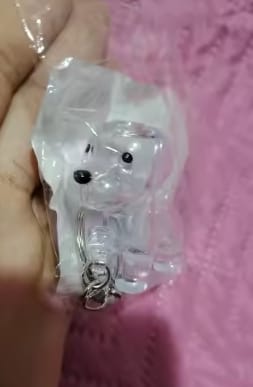 Customer photo review of Llavero Recuerdo de tu Mascota
