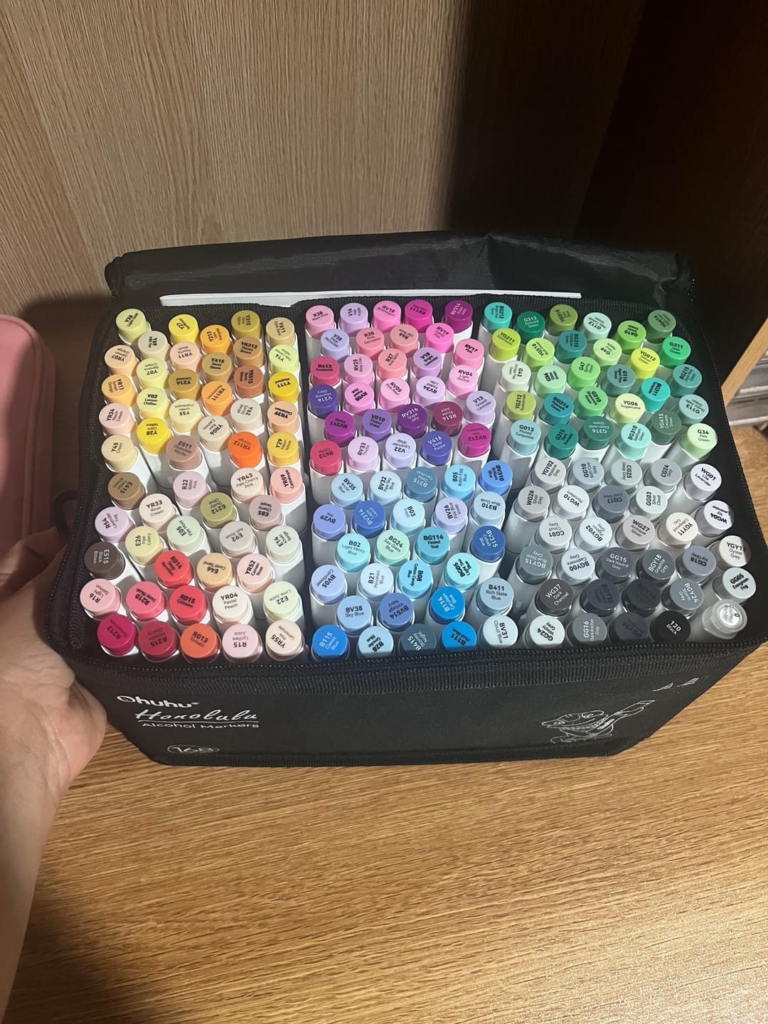 Customer photo review of Ohuhu Honolulu 168 Colors Dual Tips Alcohol Art Markers (New Color Codes)