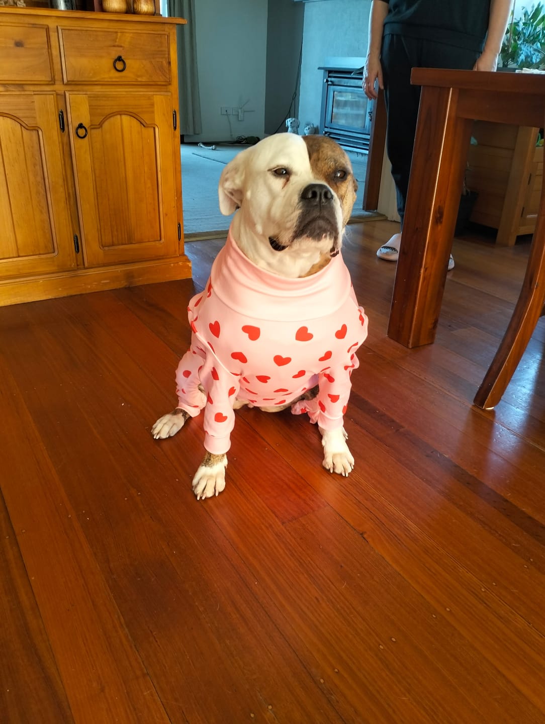 Customer photo review of Dog Pajama - Pink Hearts