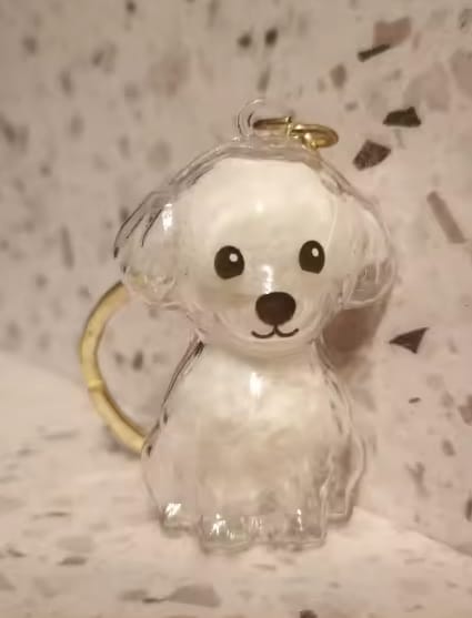 Customer photo review of Llavero Recuerdo de tu Mascota