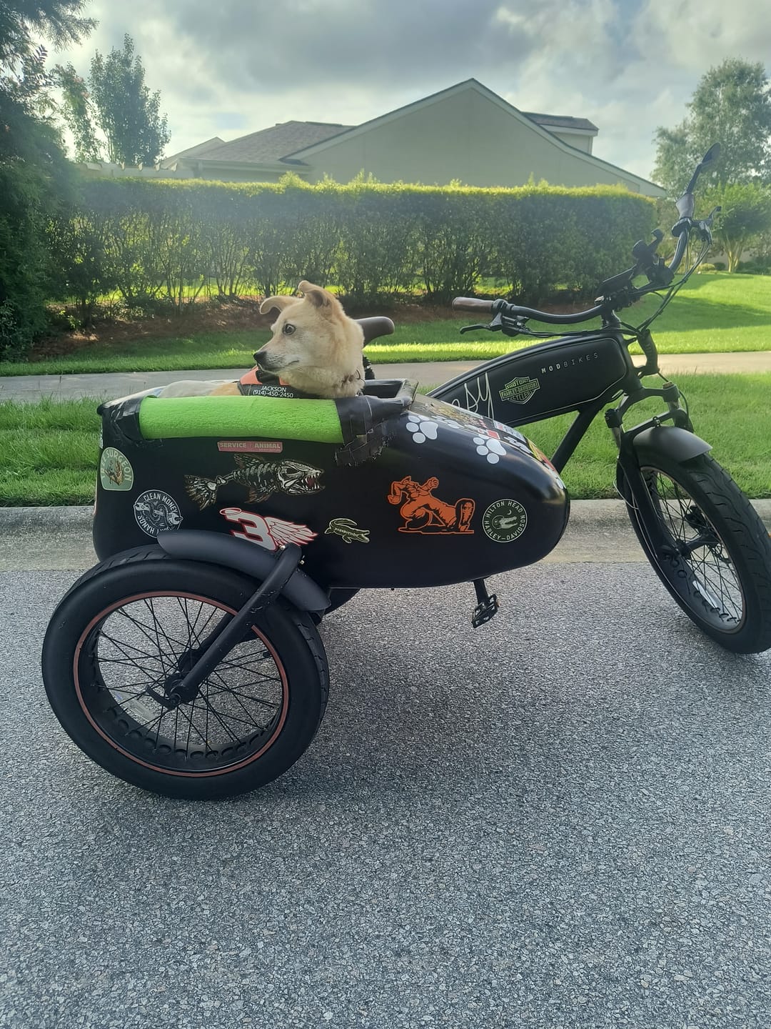 Customer photo review of Iron Paws Daily Human-Grade Superfood For Dogs
