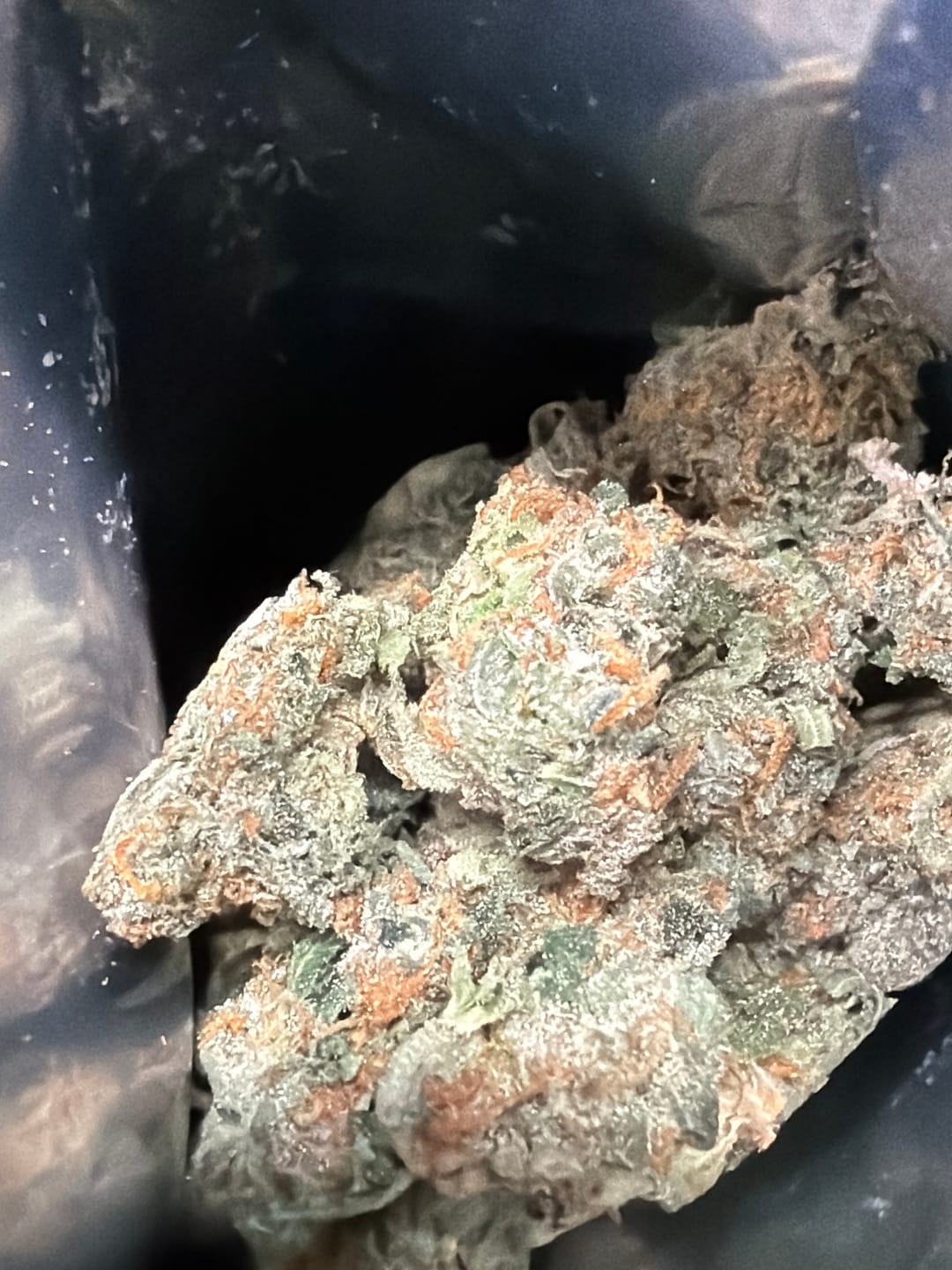 Customer photo review of OG Kush THCA Flower (Budget)