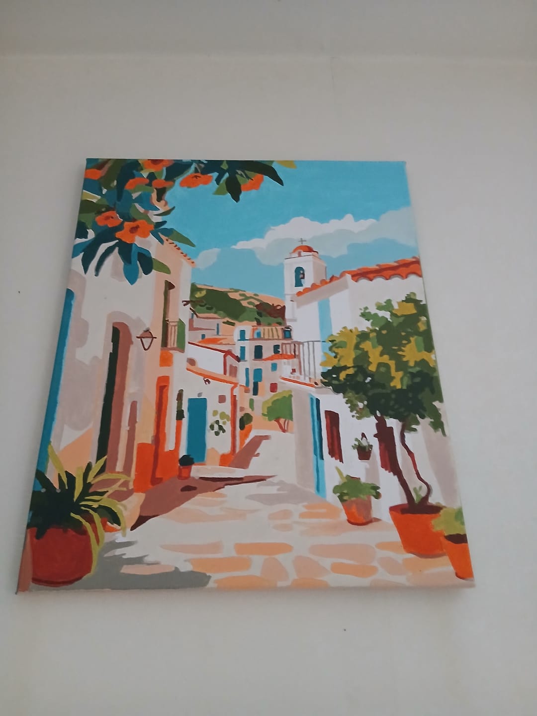 Customer photo review of Ruelle méditerranéenne